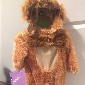 Baby lion costume